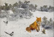 Fox in Winter Landscape, bruno liljefors